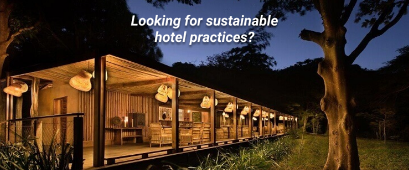 Hotels With Sustainable Practices And Eco-Friendly Amenities